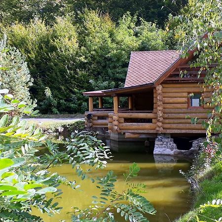 Rancho 555 ξενώνας Uzhhorod Εξωτερικό φωτογραφία