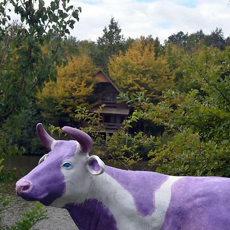 Rancho 555 ξενώνας Uzhhorod Εξωτερικό φωτογραφία