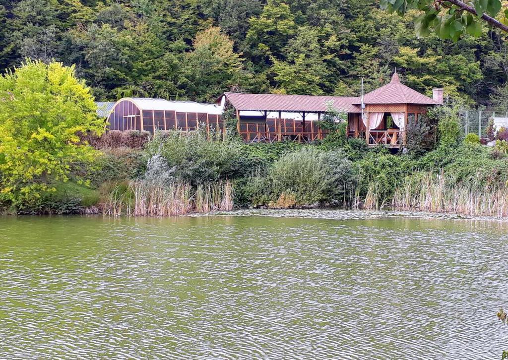 Rancho 555 ξενώνας Uzhhorod Εξωτερικό φωτογραφία