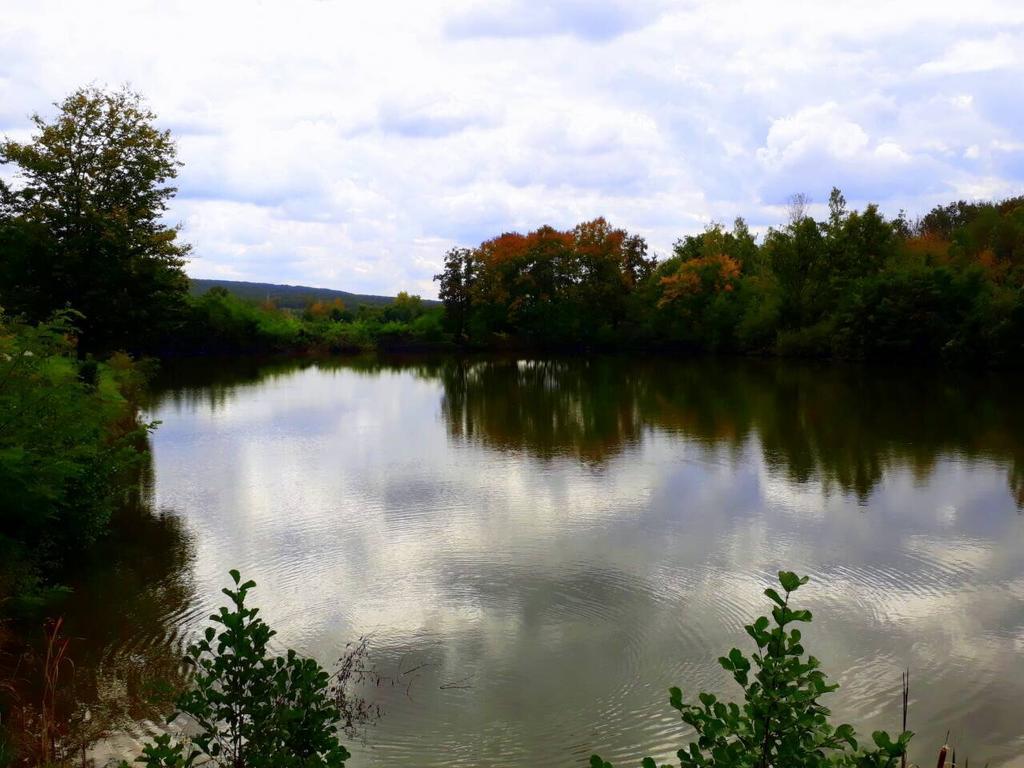 Rancho 555 ξενώνας Uzhhorod Εξωτερικό φωτογραφία