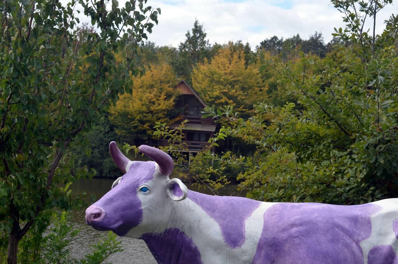 Rancho 555 ξενώνας Uzhhorod Εξωτερικό φωτογραφία